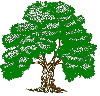 Logo: Spessart-Apotheke - Zur Startseite